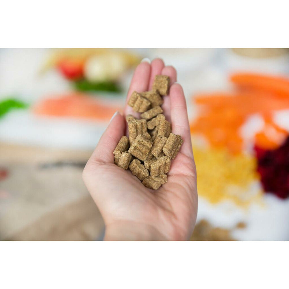  Kivo Zalm & Rijst Glutenvrij