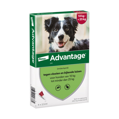 Advantage Anti Vlooiendruppels Hond 10 - 25 Kg
