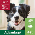  Advantage Anti Vlooiendruppels Hond 10 - 25 Kg
