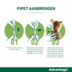  Advantage Anti Vlooiendruppels Hond 10 - 25 Kg