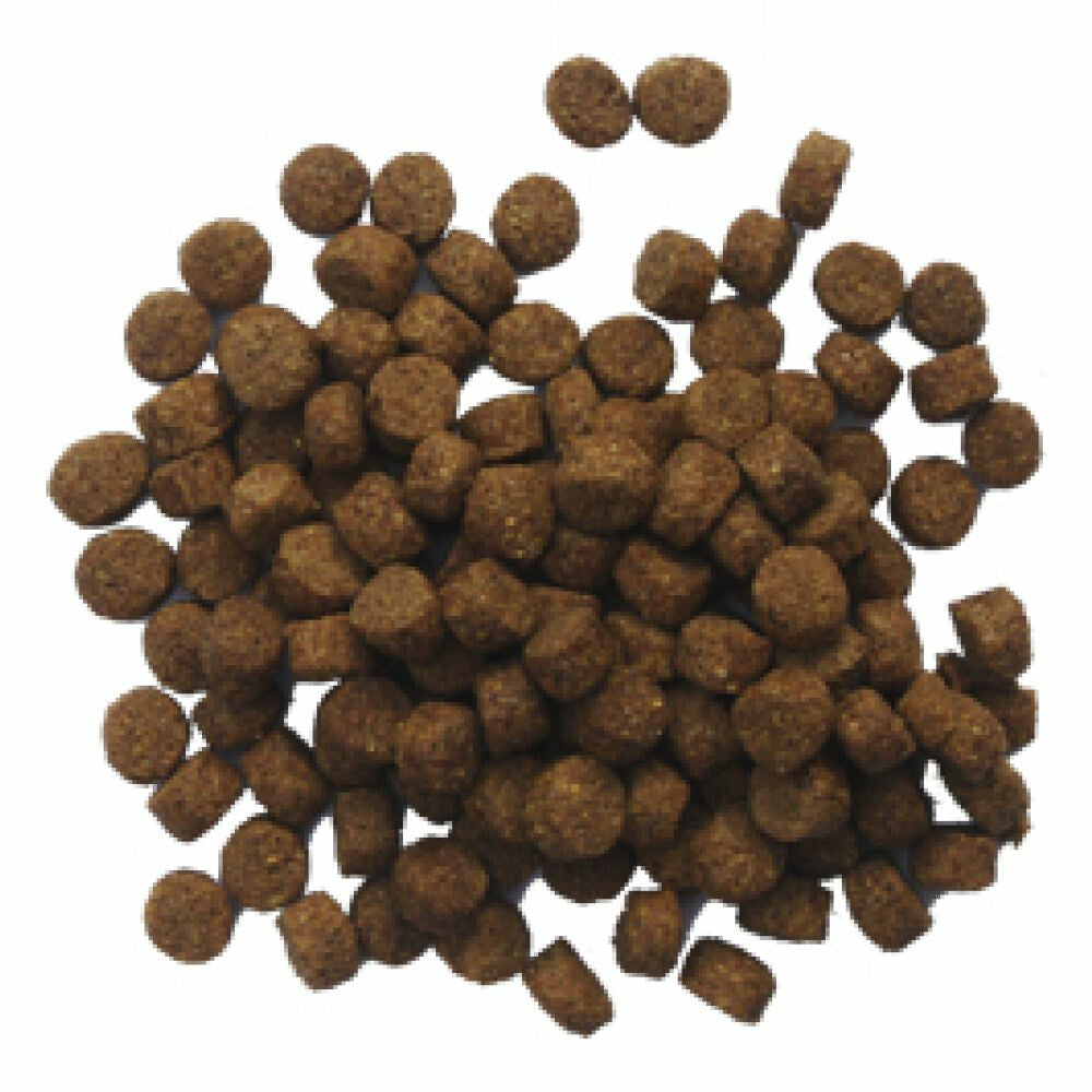 BF Petfood Krokant Hondenvoer