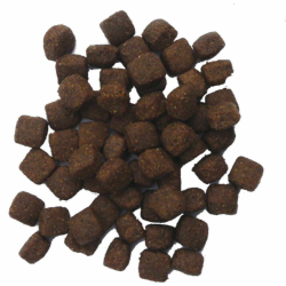  BF Petfood Active High Energy