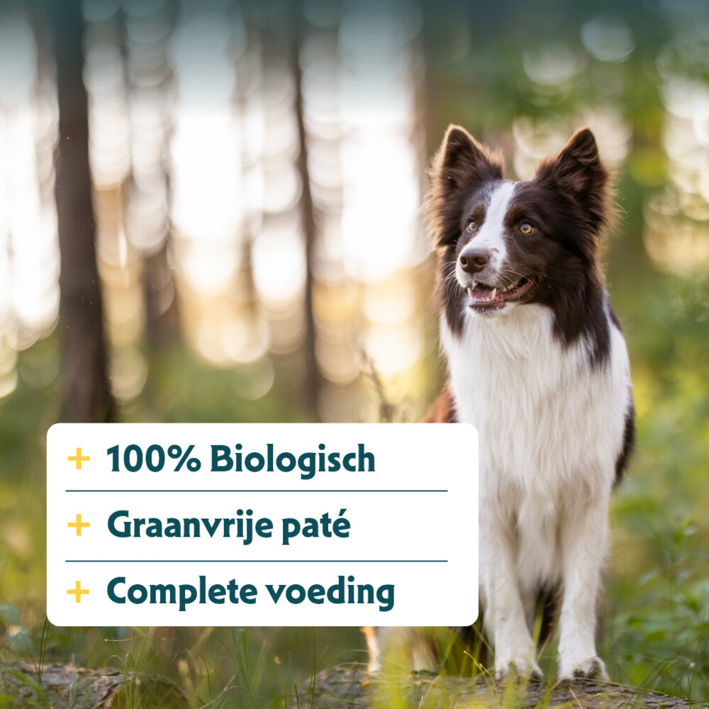  12x Yarrah Bio Hondenvoer Paté Rund - Kip