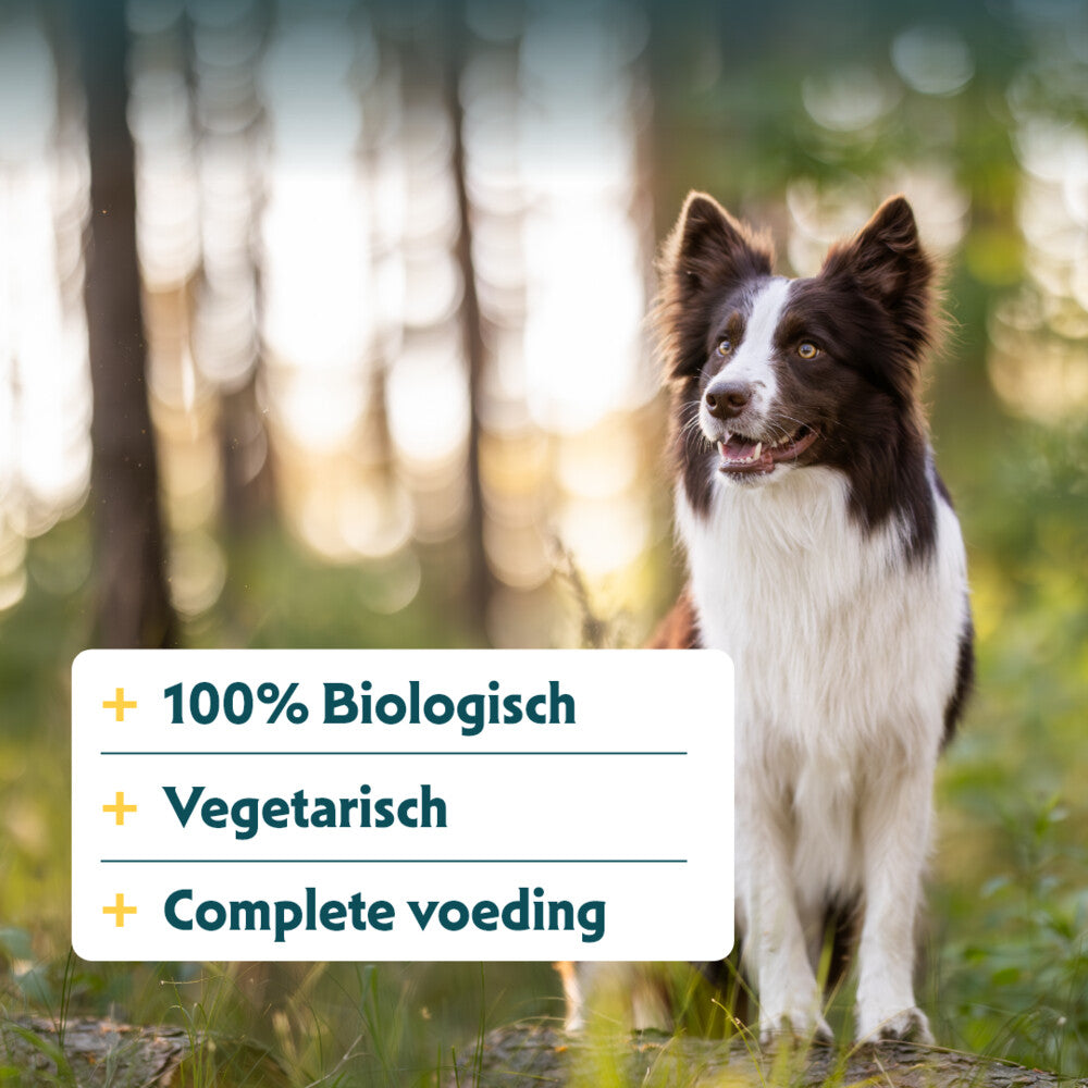  12x Yarrah Bio Chunks Vegetarisch
