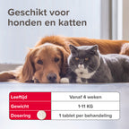  Beaphar Vlo Kill Anti Vlooien Tabletten Hond 1 -11 Kg