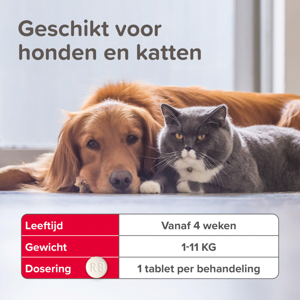  Beaphar Vlo Kill Anti Vlooien Tabletten Hond 1 -11 Kg