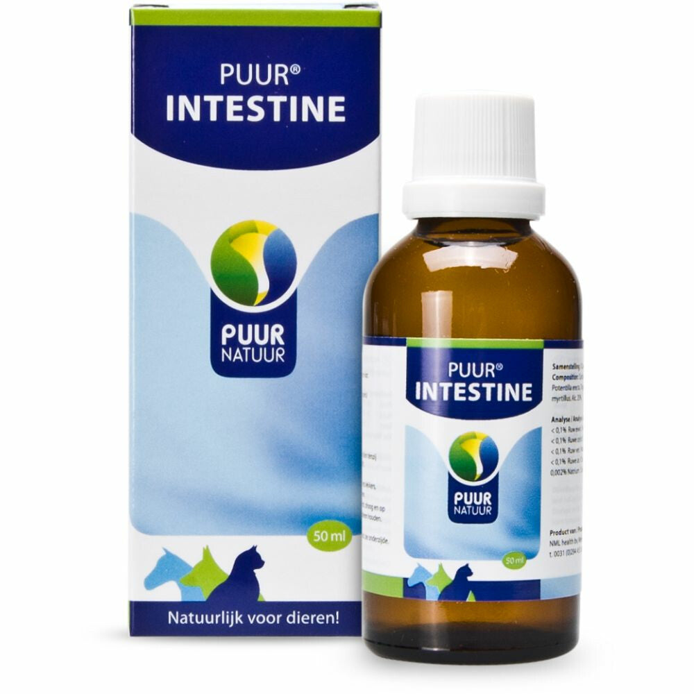  PUUR Intestine