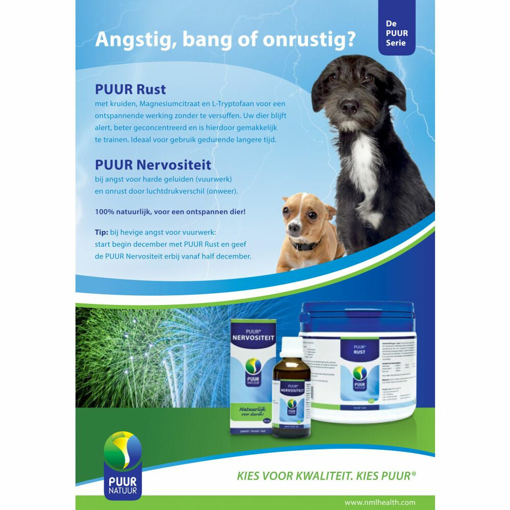  PUUR Nervo