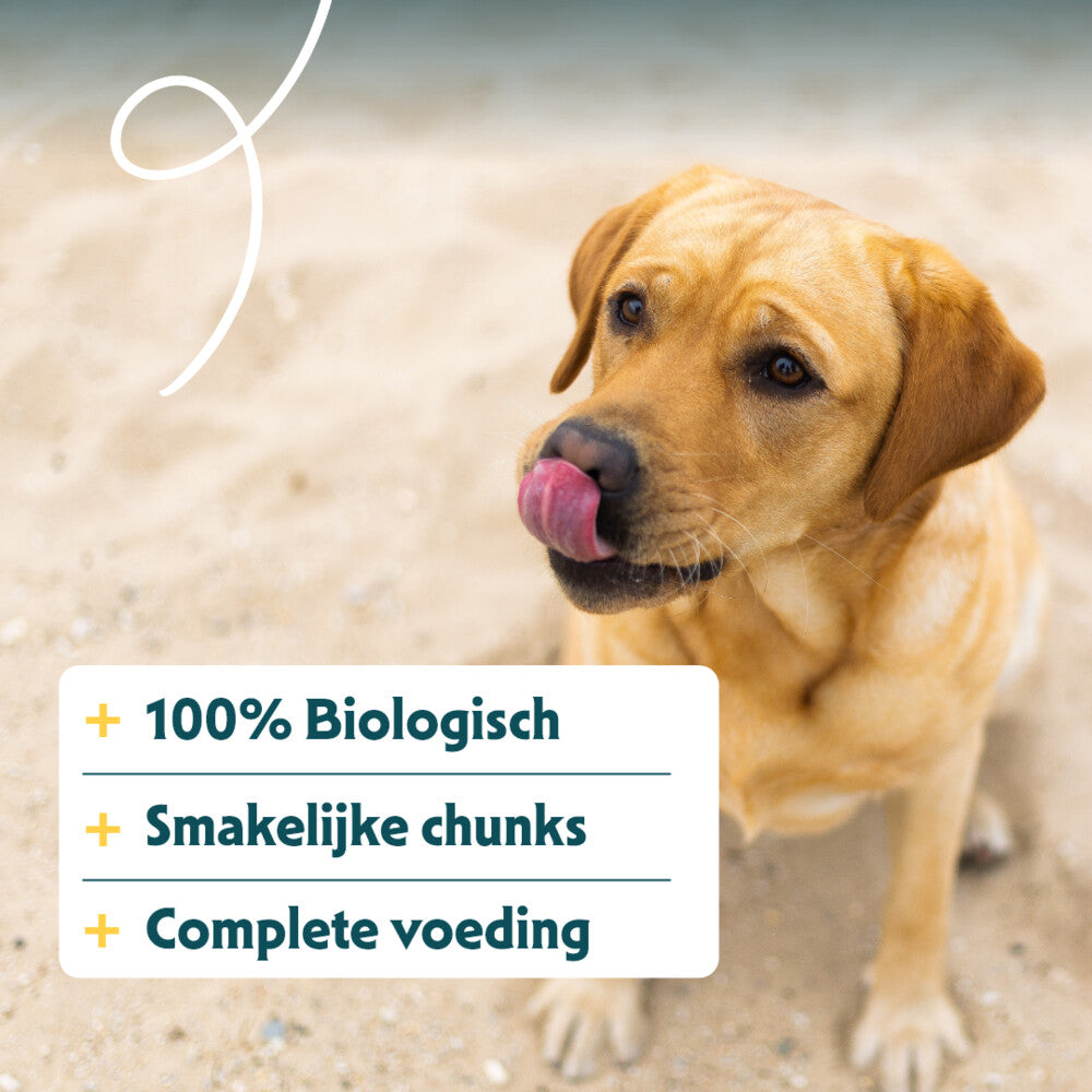  12x Yarrah Bio Hondenvoer Chunks Rund
