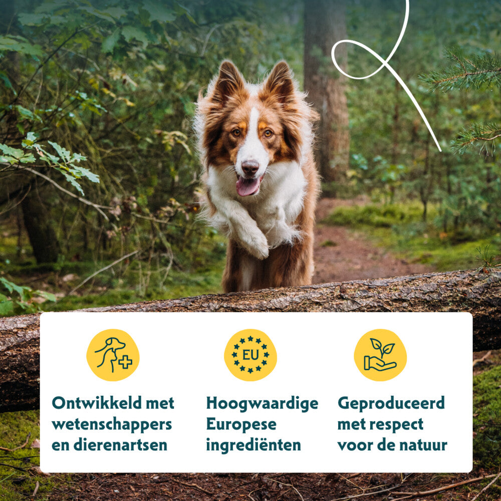 12x Yarrah Bio Hondenvoer Chunks Rund