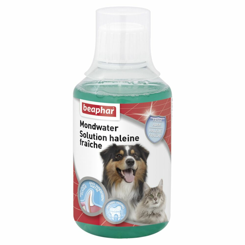  3x Beaphar Mondwater Voor Hond & Kat