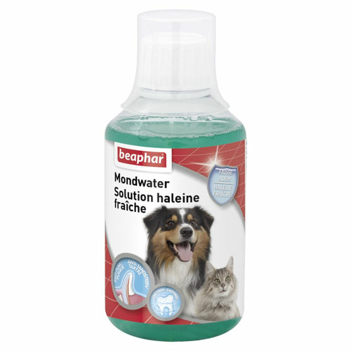  3x Beaphar Mondwater Voor Hond & Kat