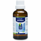  PUUR Spondy
