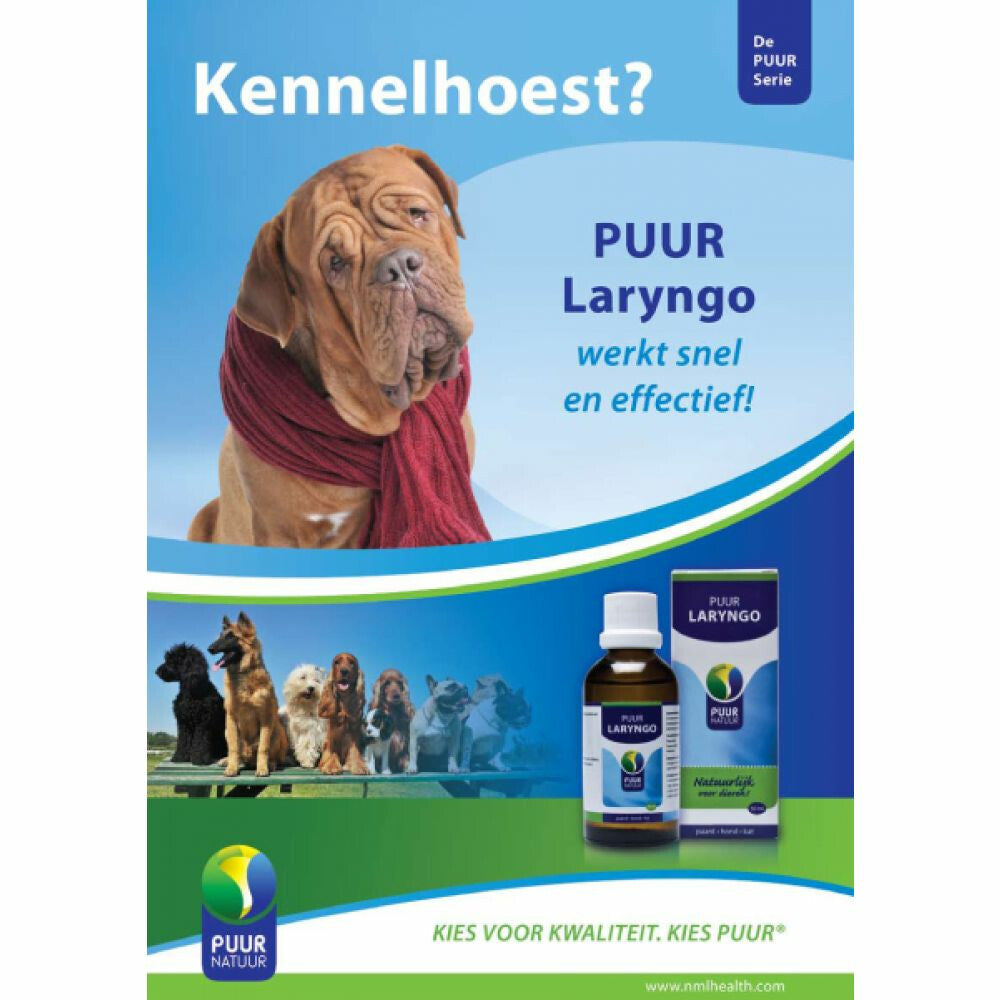  PUUR Laryngo