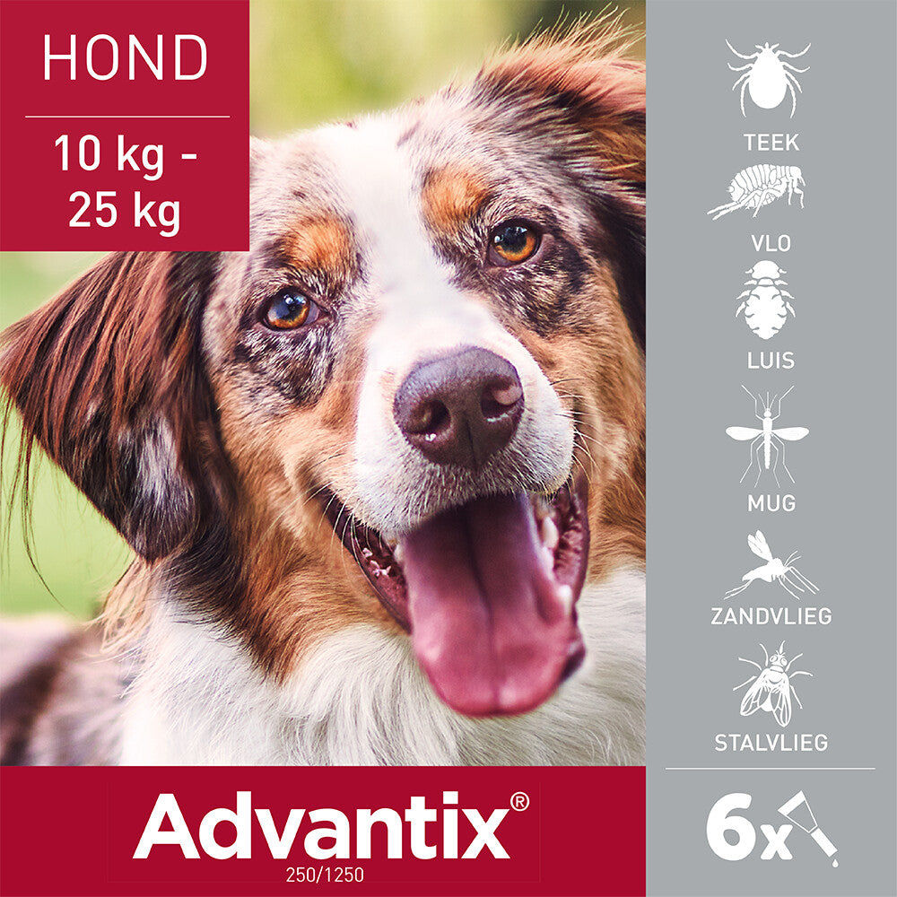  Advantix Spot On 250 Anti Vlooien En Teken Druppels Hond 10 - 25 Kg