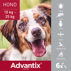  Advantix Spot On 250 Anti Vlooien En Teken Druppels Hond 10 - 25 Kg