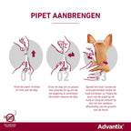  Advantix Spot On 250 Anti Vlooien En Teken Druppels Hond 10 - 25 Kg