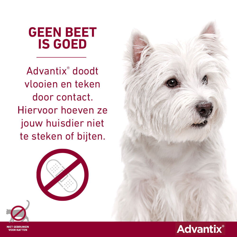  Advantix Spot On 250 Anti Vlooien En Teken Druppels Hond 10 - 25 Kg
