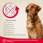  Beaphar Milquestra Ontworming Tabletten Hond 5-50kg