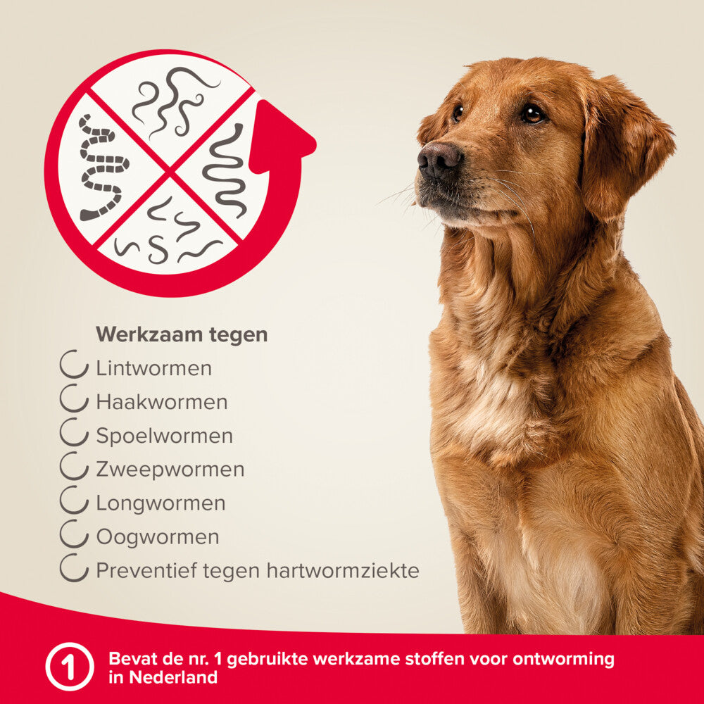  Beaphar Milquestra Ontworming Tabletten Hond 5-50kg