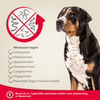  Beaphar Milquestra Ontworming Tabletten Hond 5 - 75kg