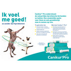  Boehringer Ingelheim Canikur Pro