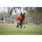  Jolly Pets Soccer Ball Oranje ø 20 Cm