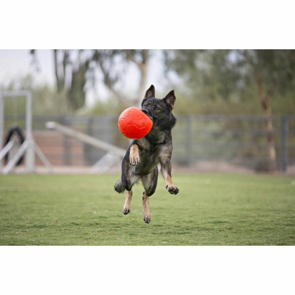  Jolly Pets Soccer Ball Oceaan Blauw ø 20 Cm