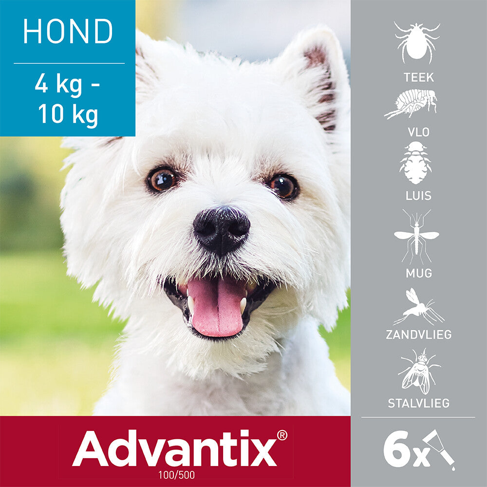  Advantix Spot On 100 Anti Vlooien En Teken Druppels Hond 4 - 10 Kg