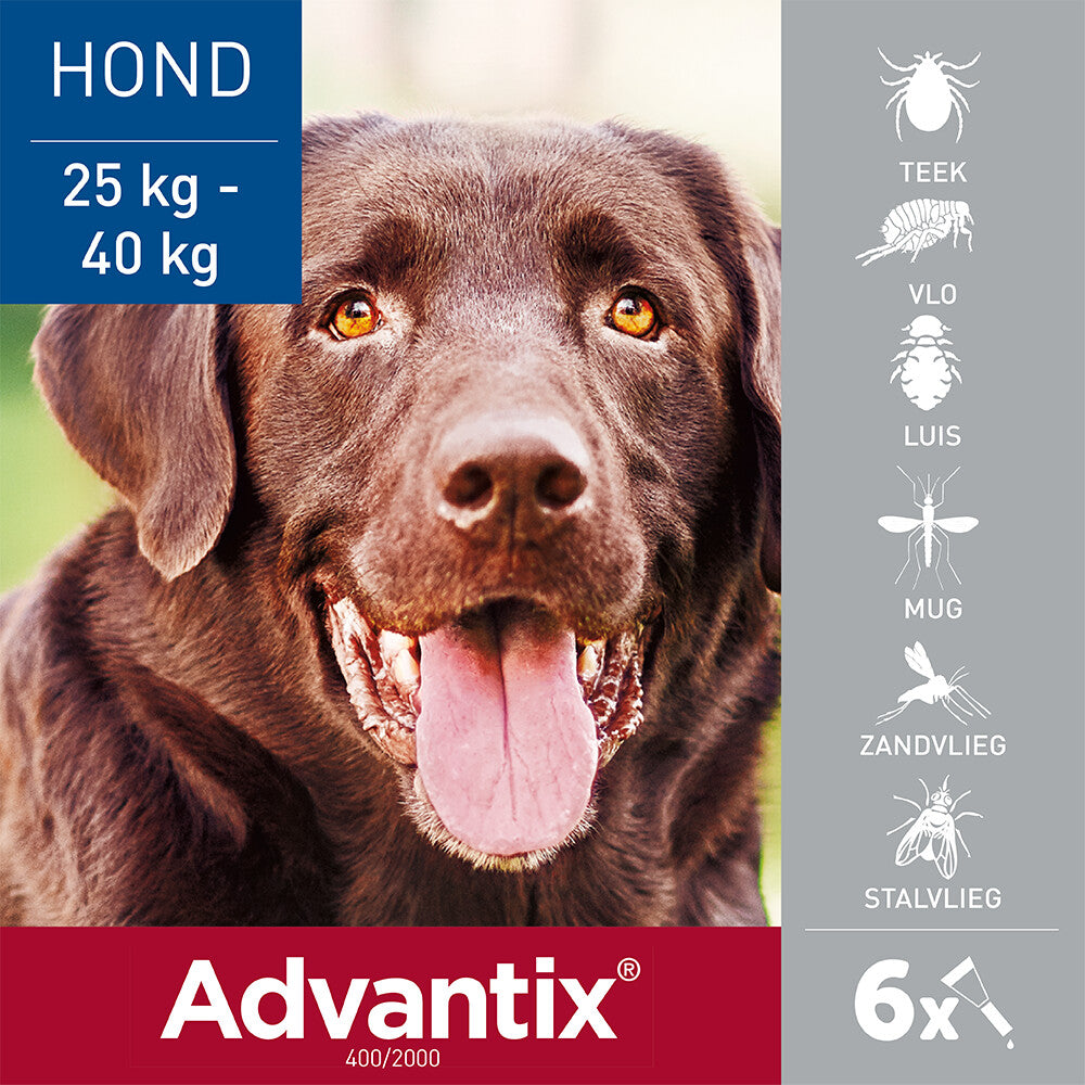 Advantix Spot On 400 Anti Vlooien En Teken Druppels Hond 25 - 40 Kg