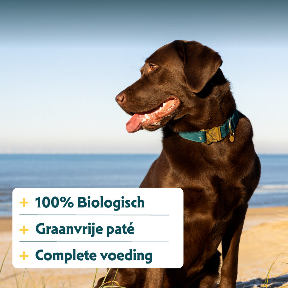  12x Yarrah Bio Hondenvoer Paté Varken