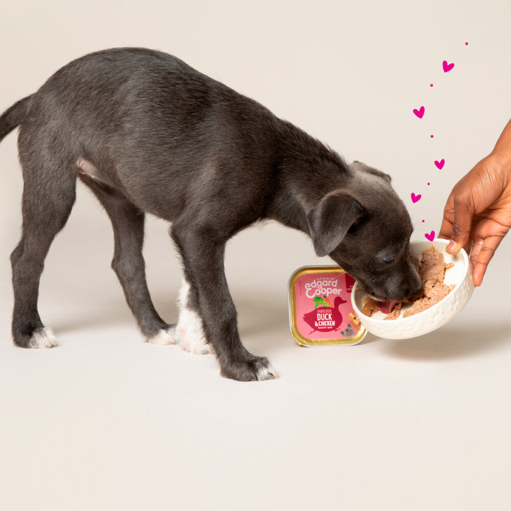  11x Edgard & Cooper Kuipje Vers Vlees Puppy Hondenvoer Eend - Kip