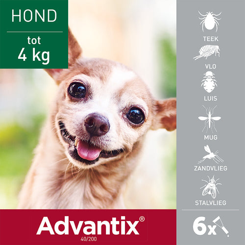  Advantix Spot On 40 Anti Vlooien En Teken Druppels Hond 0 - 4 Kg