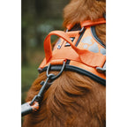  Hurtta Weekend Warrior Harness Zwart
